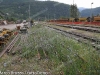 RFI-ScambioSmontato-LineaTrentoBassanoDelGrappa-Primolano-2012-06-23-BruzzoMarco