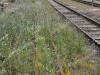 RFI-ScambioSmontato-LineaTrentoBassanoDelGrappa-Primolano-2012-06-23-BruzzoMarco